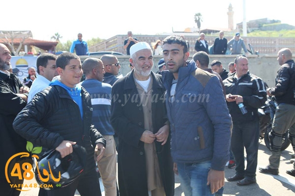 iste3dadat3j (21).jpg